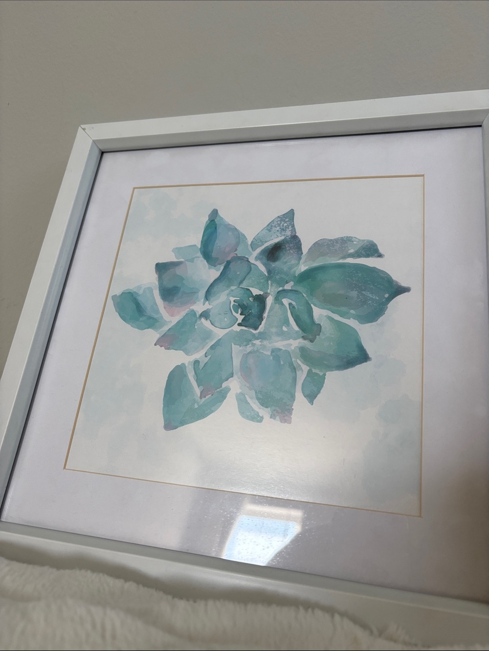 Framed Succulent Watercolor Wall Art - Teal & Aqua